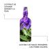 ANTIPODES Resurrect Facial Toner 100 ML | Buy Premium Skincare Online - International Shipping - Buy Online on GoSupps.com