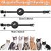 2 Pack Reflective Airtag Cat Neck Bands with Safety Buckle - Integrated Neck Tapes for Kittens & Puppies - Buy Online on GoSupps.com