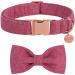 Dogwong dog collar with removable fly black pet collar dog hinge gift for girls or boys dogs comfortable adjustable dog collar for small medium-sized dogs X-Small (Pack of 1) Barbie powder