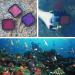 Soonsun 3 Pack Dive Filter for GoPro Hero 5 6 7 Black Super Suit - Red Light Red and Magenta Filters - Enhance Underwater Colors for Video and Photography - Buy Online on GoSupps.com