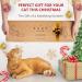 Ruby Road Wall Mounted Cat Scratching Post - Wooden Sisal Scratcher for Indoor Cats - Modern Cat Wall Furniture (22 x 5.7 inches) - Buy Online on GoSupps.com