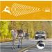 MOARMOR Deer Whistles 6 Pack for Car, Truck, Vehicle Deer Horn Warning Device - Buy Online on GoSupps.com