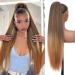 PORSMEER 30 Inch Yaki Straight Drawstring Ponytail Clip In Extensions for Women Kinky Straight Pony Tail Extensions Hair Extensions Ponytail (Black mix blonde) - Buy Online on GoSupps.com