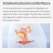 Beck Corrector | Pelvic Floor Repair & Recovery Tool for Post-Birth Relief | Reduce Urinary Incontinence - Buy Online on GoSupps.com