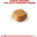 Royal Canin Yorkshire Terrier Adult Dry Dog Food 10lb - Breed Health Nutrition | No Artificial Color - Buy Online on GoSupps.com