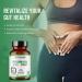 Dr. HERBALIST Psyllium Husk Extract 500mg Per Serving (Plantago Ovata Fiber Supplement) 60 Veg Capsules Fast Absorption Gentle on Stomach Supports Digestion & Daily Fiber. Unflavored 1 - Buy Online on GoSupps.com