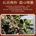 Yunnan Yiwu Arbre Ancien Th Ancien Th Pu'er Longzhu Ferment Et M r 500g Ar me Fort 17 64oz - Buy Online on GoSupps.com