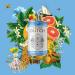Double Dutch Skinny Tonic Water | 6 x 150ml | 100% Natural | Low Calorie Mixer | No Artificial Colors or Flavors - Buy Online on GoSupps.com