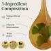 HERBAMAMA Ginkgo Biloba Tincture - Vegan Focus & Clarity with Ginkgo Biloba Extract - Non-GMO, Alcohol & Sugar-Free Brain Support Liquid Supplement, 84-Day Supply 4 Fl Oz (Pack of 1) - Buy Online on GoSupps.com