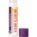 Burt's Bees Rescue Balm Elderberry Lip Balm With Antioxidant-Rich Elderberry Tint-Free Natural Origin Lip Care 1 Tube 0.15 oz. Elderberry 1 Count (Pack of 1) - Buy Online on GoSupps.com