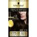 Schwarzkopf Oleo Intense Permanent Brown Hair Dye Oil Enriched Ammonia Free Up to 100 Percent Grey Coverage Black Brown 2-10 Black Brown 1 Count (Pack of 1)