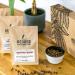 CHRISTMAS Coffee Gift Box 3 x 250g - Buy Online on GoSupps.com
