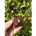 Crystal Rough 50mm Natural Stones and Minerals Dragon Blood Stone Pyramid Shaped gem Crystals Suitable for Home - Buy Online on GoSupps.com