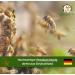 German Rapeseed Honey Sweet Spread - 250g Family Beekei 'Zum Lederer' - Pure Bavarian Nectar No Additives - Buy Online on GoSupps.com