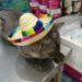 Kitatayi Mini Straw Sombrero Hat for Small Pets - Mexican Sombrero Party Hat for Dogs, Puppies, and Cats - Buy Online on GoSupps.com