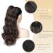 Shop Gairyan 50cm Long Curly Claw Clip Ponytail Extensions - Dark Brown & Dark Chestnut Synthetic Hair for Women - Buy Online on GoSupps.com