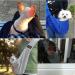 Cuby Pet Shape Turnable - Soft Hands-Free Carrier with Side Pockets for Small Dogs Puppies Cats & Rabbits - Gray 1 Pack - Buy Online on GoSupps.com