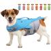 Vivaglory dog swimming vest for small and medium-sized dogs simply put on and undress sporty dog swimming vest with adjustable nylongurten blue M: 56-64 cm (Ribcage Girth) blue)
