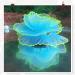 Duozoance Glow-in-the-Dark Artificial Coral Plants for Aquariums - Silicone Blue Decoration | 7.5x5x9cm - Buy Online on GoSupps.com