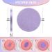 Nuogo 480 Count Compressed Facial Sponges | Makeup Removal & Exfoliating PVA Spa Pads | Reusable Cleansing Rounds for Women | Esthetician Beauty Supplies | 4 Colors | Pack of 1 - Buy Online on GoSupps.com