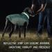 Kuoser Warm Reflective Dog Jacket - Windproof Winter Coat for Small & Large Dogs in Dark Green - Buy Online on GoSupps.com
