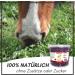 Supravit Rose Hed Horse 2kg Bucket | Vitamin C Enriched Dried Fruits for Horses & Ponies | Sugar-Free Natural Treats | Premium Quality - Buy Online on GoSupps.com