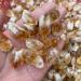 Natural Crystal Rough Natural Crystal Rough 100g Bulk Rough Natural Citrine Point Quartz Druzy Crystal Cluster Specimen Stone Pendant Making Gifts - Buy Online on GoSupps.com