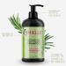 Mielle Rosemary Mint Strengthening Shampoo & Scalp Oil Gift Set - Best Deal for Stronger Hair & Scalp Care - International Shipping Available - Buy Online on GoSupps.com