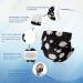 3 Ply 50 Pcs Individually Wrapped Disposable Earloop Face Masks - Adult Black/White - Buy Online on GoSupps.com