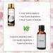 PHATOIL Coconut Fragrance Oil - 10ml for Home Aromatherapy, Soap & Candle Making - Buy Online on GoSupps.com
