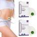 Healthy Detox Slimming Patch Belly Fat Weight Loss Patches for Women and Men Slimming Detox Patches Natural Safe for Perfect Figure Health 2 Box