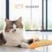Aibuddy Catnip Toy 3PCS Cat Chew Toys Bite Resistant Catnip Toys with Bell Inside Plush Cartoon Kitten Teething Interactive Toy 1 Count (Pack of 3) - Buy Online on GoSupps.com