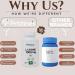 PRISTINE S L Lysine 1000MG | Vegan Amino Acid for Lip & Gum Health Immunity & Muscle Support | 30-Day Supply - Gluten Free - Buy Online on GoSupps.com