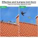Rmenoor Pigeon Defense Spikes - 5 PCS Stainless Steel Bird Protection Grids for Roofs | Universal Anti-Bird Solution for Pigeons & Sparrows (2.7 * 25cm) - Buy Online on GoSupps.com