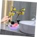 SOESFOUFU Cleaning Pad Clock Wall Decor Silicon Brush Cleaner Beauty Tools Brush Washer Cosmetic Brush Cleaning Bowl Makeup Brush Scrubber Pad Face Make up Cushion Silica Purple 14.5x11cm Purple - Buy Online on GoSupps.com