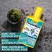Tetra PhosphateMinus 250 ml | Reduce Algae Nutrients in Aquariums | Reliable Phosphate Remover - Buy Online on GoSupps.com