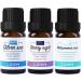 LOXIM Golden Bloom Essential Oil Set of 3 - Midsummer Rain Starry Night & Silver Sea | International Shipping - Buy Online on GoSupps.com