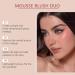 Magic Finish Mousse Blush Duo Liquid High Gloss Powder Blusher Cream Moisturizing Easy To Push Away Non Fading Multifunctional Face Repairing High Gloss Powder Blusher Liquid (Peach pink 12ml) - Buy Online on GoSupps.com