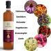 Green Idea Immune Syrup - Echinacea & Beta Glucan | Vegan 500ml | Strengthen Immune System Naturally - No Artificial Sweeteners - Buy Online on GoSupps.com