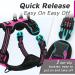 Eagloo Adjustable Dog Harness for Small Dogs - Anti-Train Durable Reflective Strips - Perfect for Walking & Jogging - Rose Red XS (1 Pack) - Buy Online on GoSupps.com
