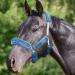 Harrison Howard Horse Halter Fleece Cover Set 9 Pieces Blue