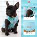 KYEESE 2 Pack Medium Dog Shirts - Breathable & Soft Tank Tops for Summer - Flamingo Pattern - 21 Chest - 2 Pack (Flamingo+Blue) - Buy Online on GoSupps.com
