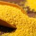 Millet Yellow millet17.6oz Hulled Gluten Free Raw Sun-Dried Millet Whole Grain  - Buy Online on GoSupps.com