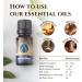 Certified Organic Peppermint Essential Oil 10ml | 100% Pure & Therapeutic Grade for Aromatherapy, Massage, Bath | Natural & Organic with e-Book | Ecodrop - Buy Online on GoSupps.com