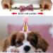 Dher Pet Birthday Set - Pink Sequin Hat & Party Decoration for Dogs & Cats | Festive Birthday Accessories - Buy Online on GoSupps.com