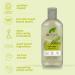  Organic Doctor Dr. Bio Tea Tree Shampoo and Conditioner Purifying Oily Roots Natural Vegan Cruelty-Free Paraben and SLS Free Recyclable and Sea-Recycled Plastic Organic 265 ml x2 - Buy Online on GoSupps.com