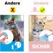 Croc-Cat Airtag Cat Neck Band | Safety Buckle Collar for Kittens & Small Dogs | Compatible with Apple Airtag | Orange - Shop Now! - Buy Online on GoSupps.com