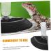 BESPORTBLE 3pcs Turtle Drinker Reptile Water Feeder Terrarium Reptile Automatic Water Dispenser Plastic Black 17X17X3.5CMx3pcs Blackx3pcs - Buy Online on GoSupps.com