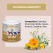 Hilton Herbs Top Coat Natural Dog Supplement. 100% Natural Ingredients. Healthy Skin and Shinny Coat. For Dogs with Itchy Skin Sensitive to Allergens or Prone to Itching. 125 g - Buy Online on GoSupps.com