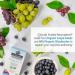 Garden of Life Dr. Formulated Brain Health - Memory & Focus for Adults 40+, 60 Veggie Tablets - Buy Online on GoSupps.com